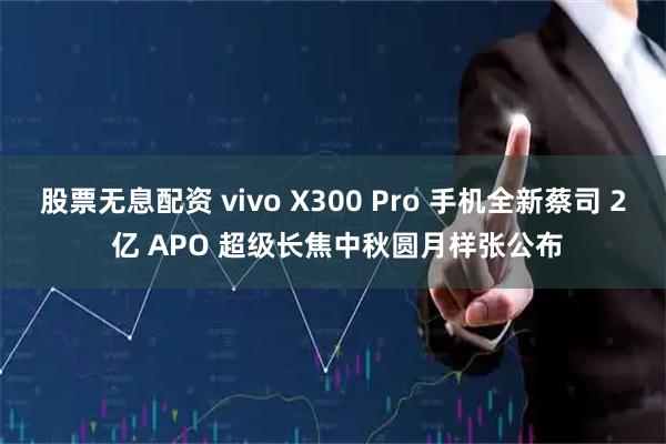 股票无息配资 vivo X300 Pro 手机全新蔡司 2 亿 APO 超级长焦中秋圆月样张公布