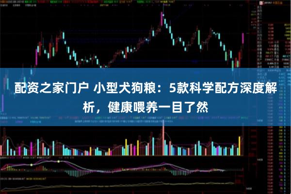配资之家门户 小型犬狗粮:5款科学配方深度解析,健康喂养一目了然